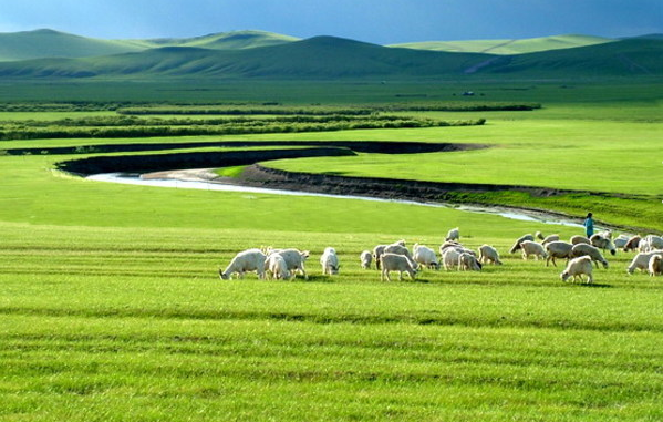 Hohhot Grassland.png