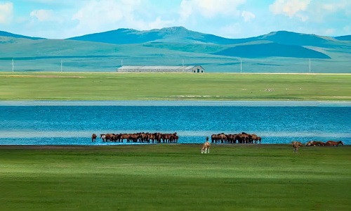 Hulun-Buir-Prairie Hulun-Buir-Prairie