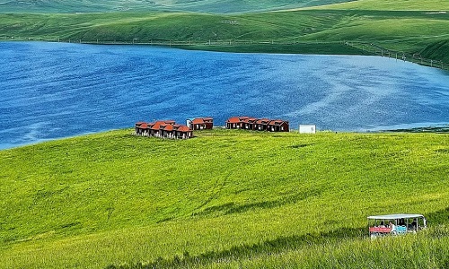 Ribbon-River-Grass Ribbon-River-Grass