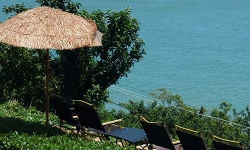 Tea-Tasting-Qingdao Tea-Tasting-Qingdao