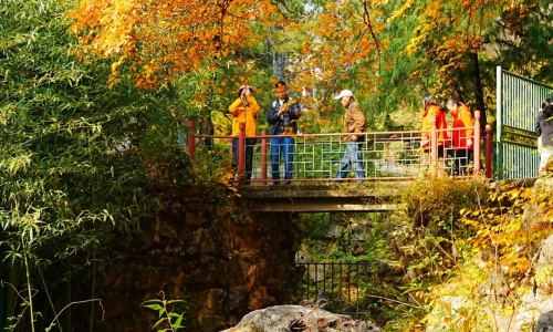 summer-palace-autumn summer-palace-autumn