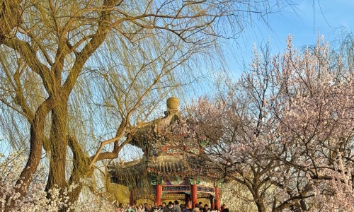 summer-palace-spring-beijing summer-palace-spring-beijing
