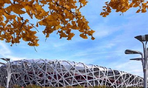 Beijing Bird's Nest – Explore the Iconic National Stadium Beijing Beijing Bird's Nest – Explore the Iconic National Stadium Beijing