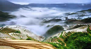 15 Days Scenic China Tour with Yellow Mountain & Longjing Rice Terrace