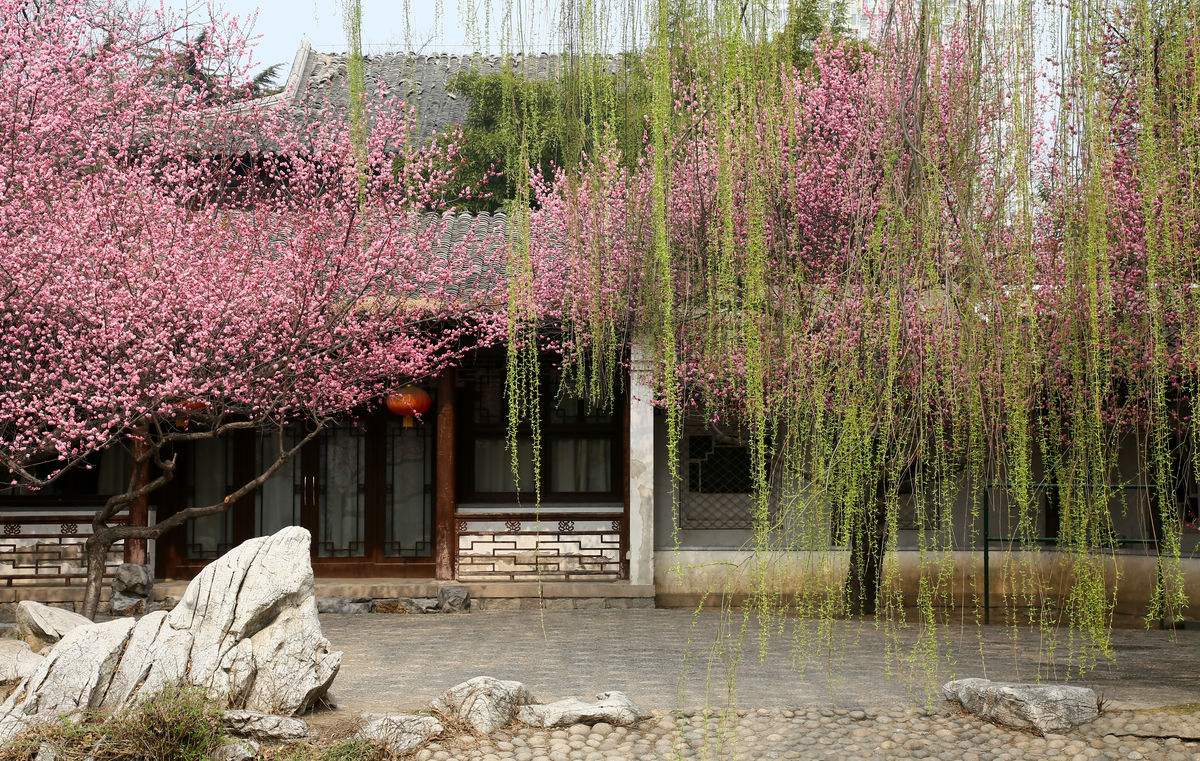 Purple_Bamboo_Park_4.jpg