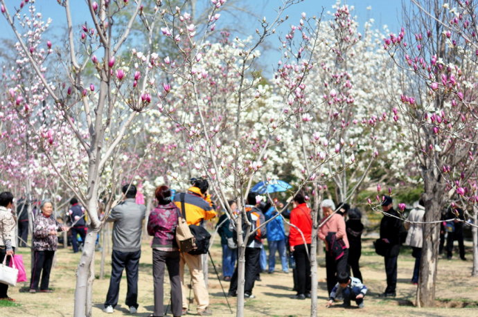 Beijing International Sculpture Park_02.jpg