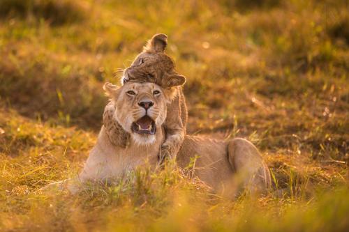 beijing wildlife park_04.jpg