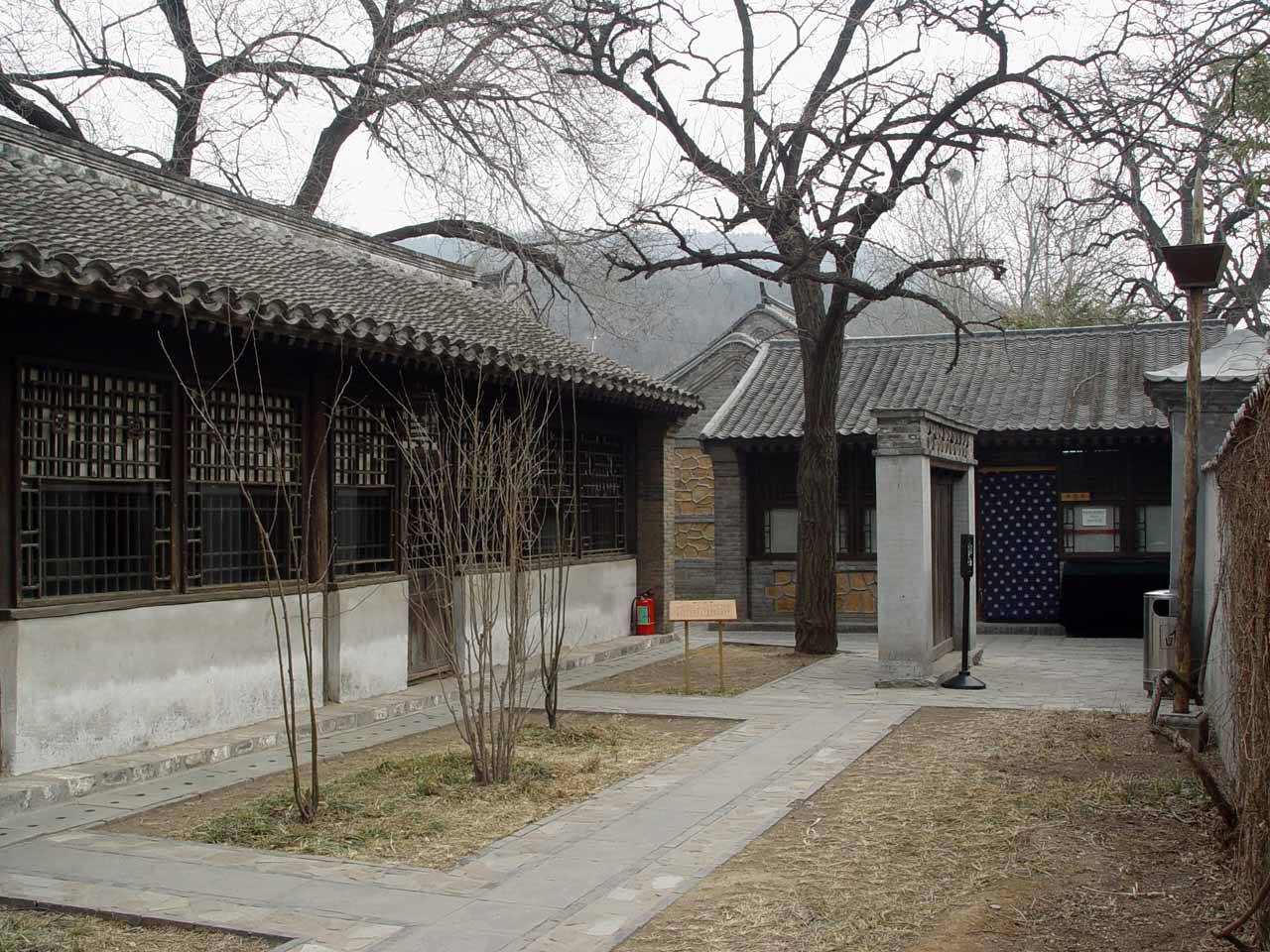 Caoxueqin.jpg