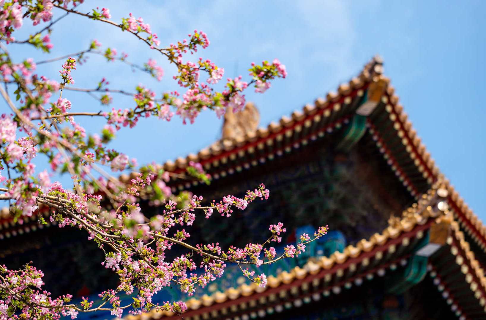 Forbidden City