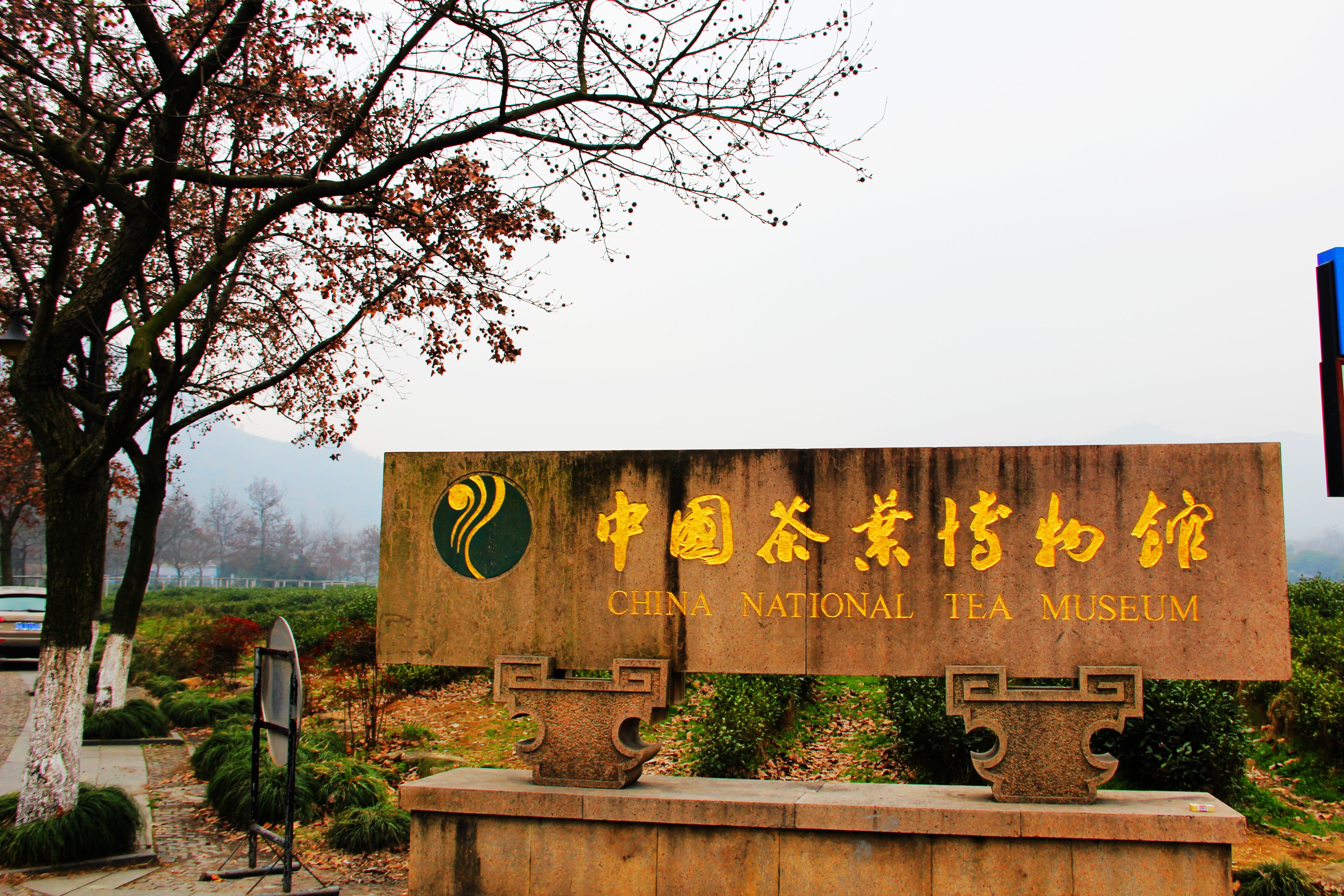 china national tea museum.jpg