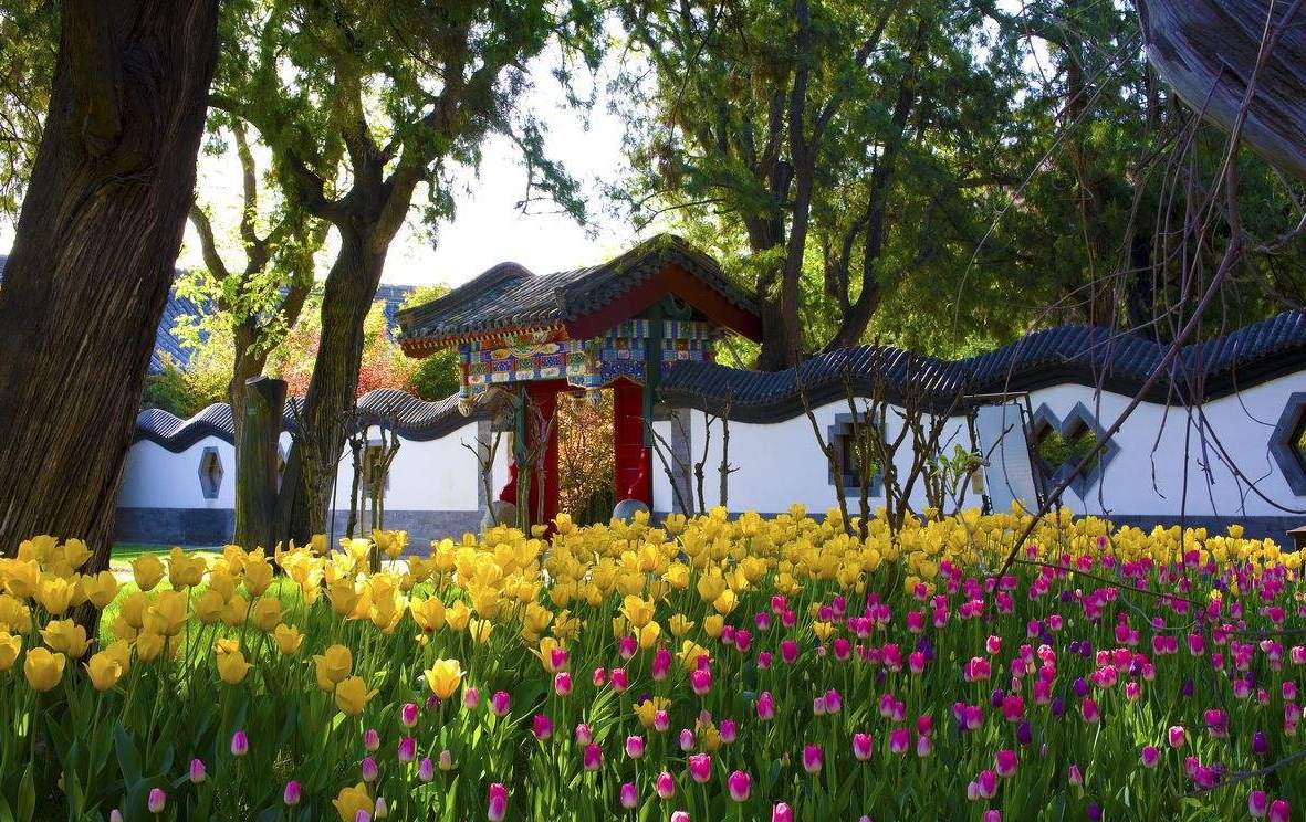 Zhongshan Park-Beijing Private Tour_02.jpg