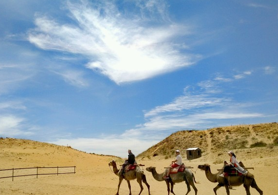 Inner Mongolia Desert.png