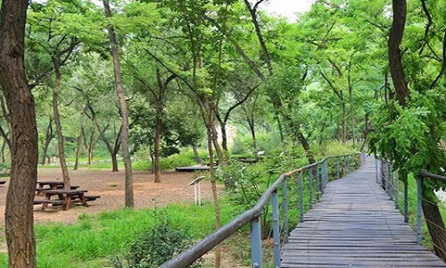 Baiwanshan Forest Park_02.jpg