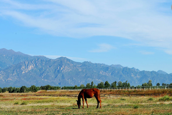 Kangxi Grassland.png