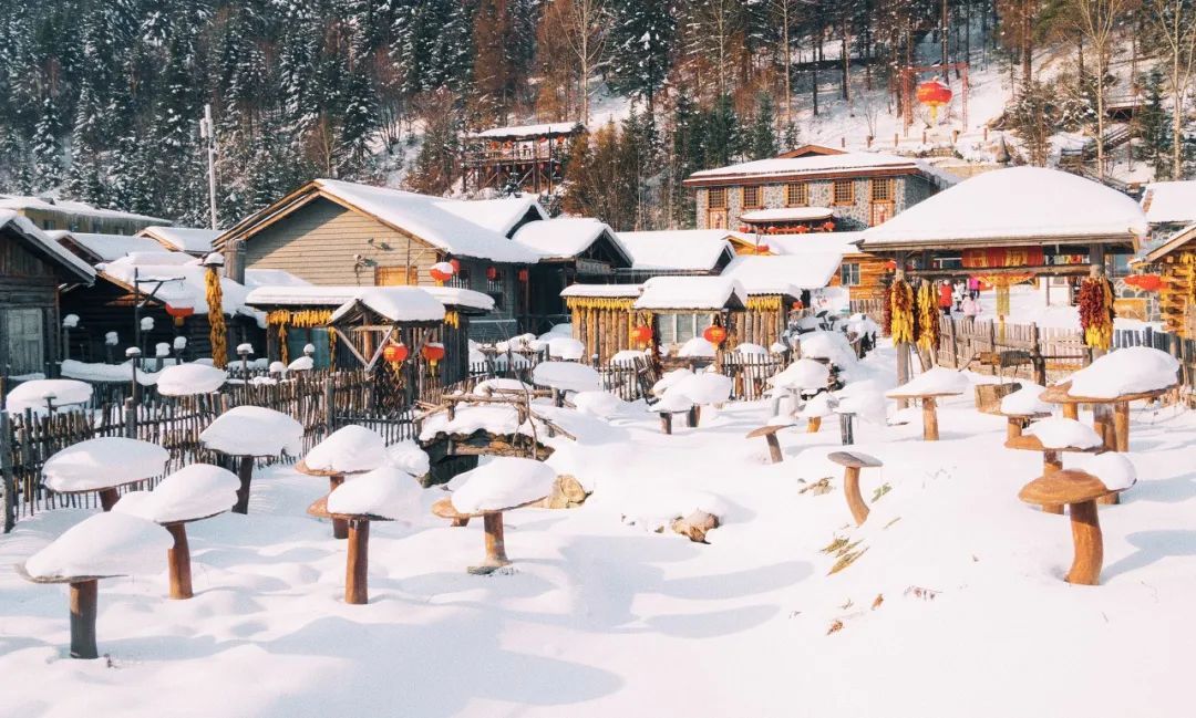 Dream Home Snow Mushrooms