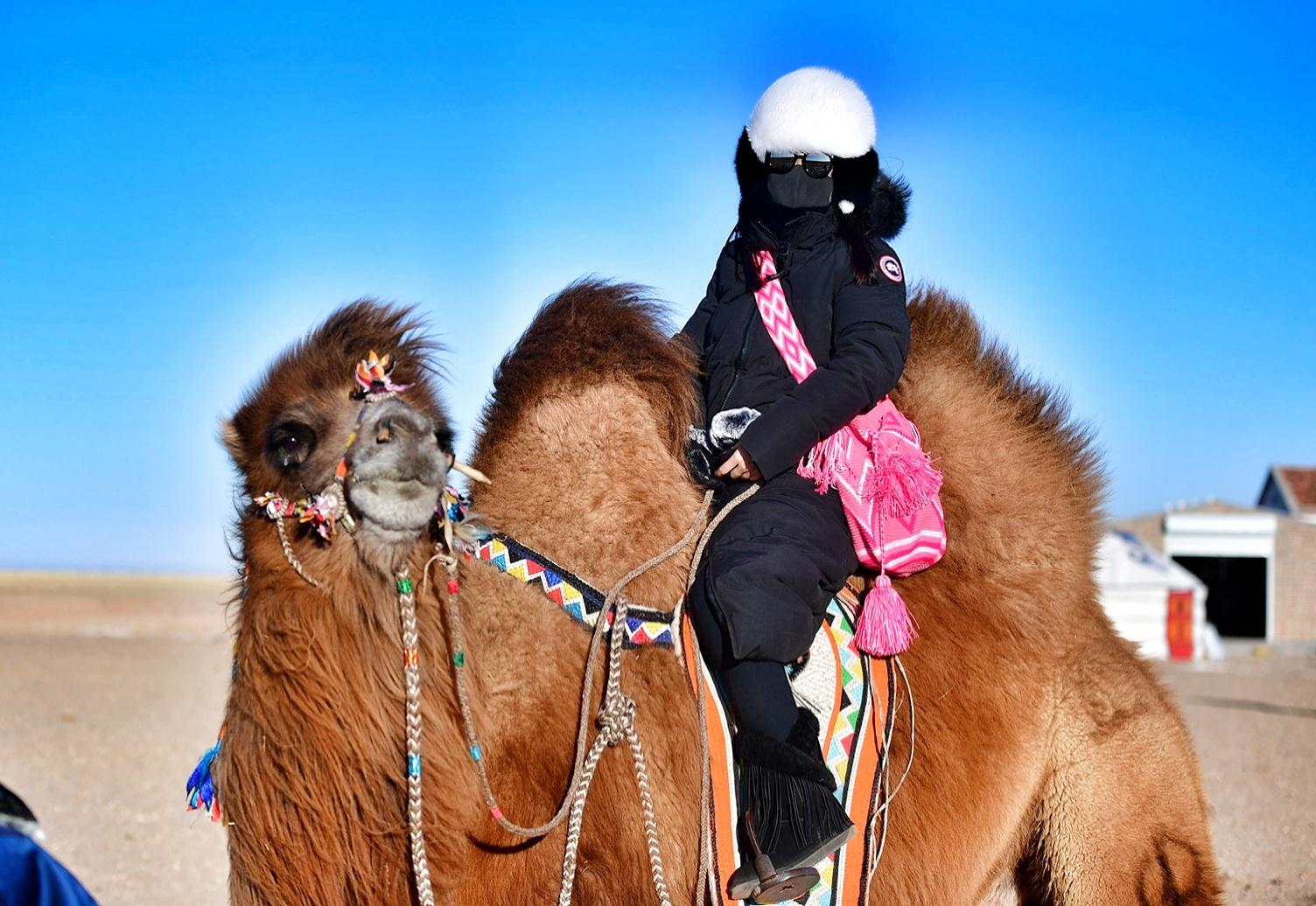 Camel-Riding