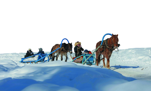 Horse-Drawn-Sleigh-Ride