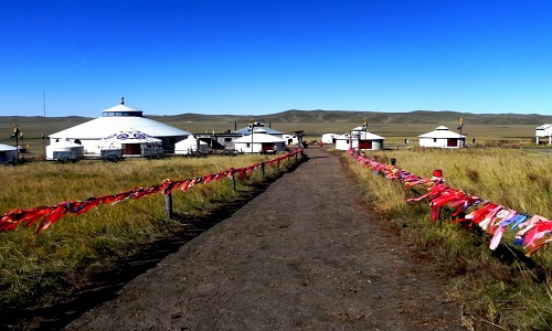 Mongolian-Tribe