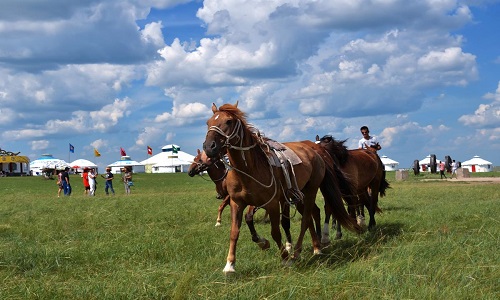 Horse-Racing