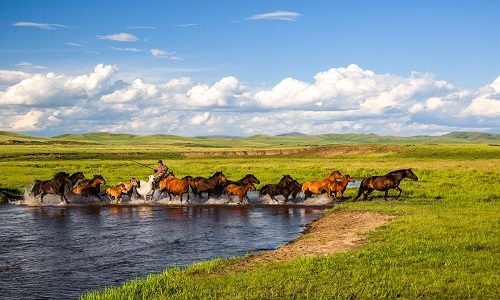 Xilamuren-Grassland