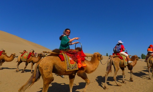 Camel-Ride