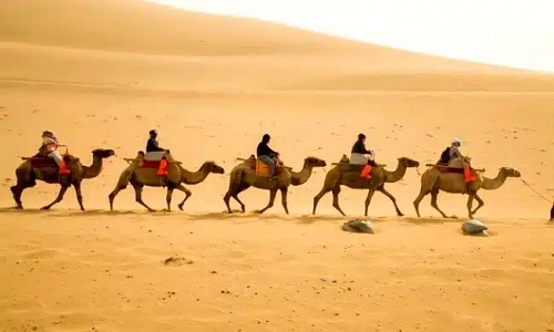 Camel-Ride-At-Sand-Mountain