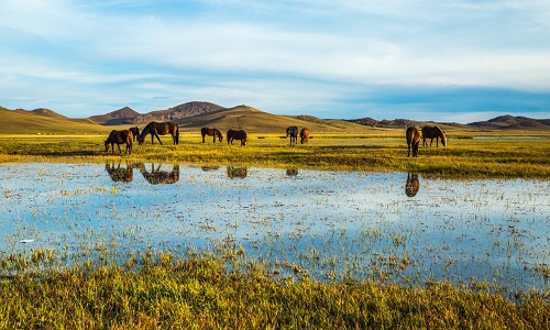 Jiangjun-Lake-Inner-Mongolia