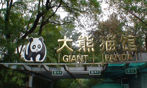 Beijing-Panda-House-Tour