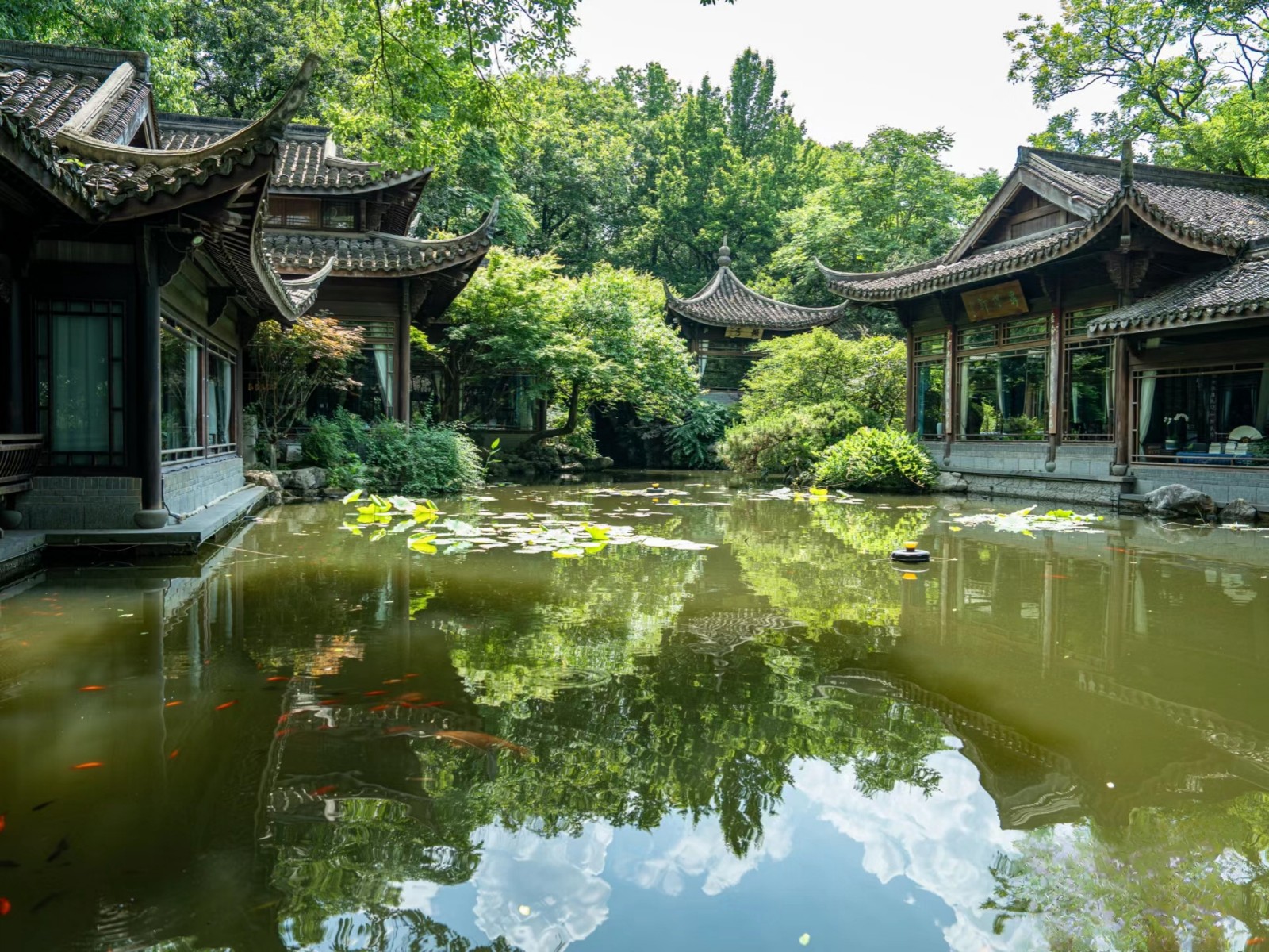 Viewing-Fish-At-The-Flower-Pond-Hangzhou