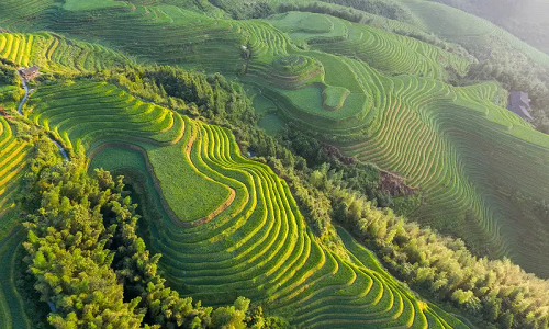 Longsheng-Rice-Terraces