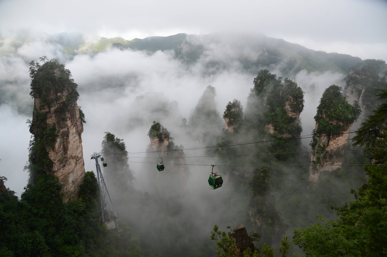 National-Forest-Park