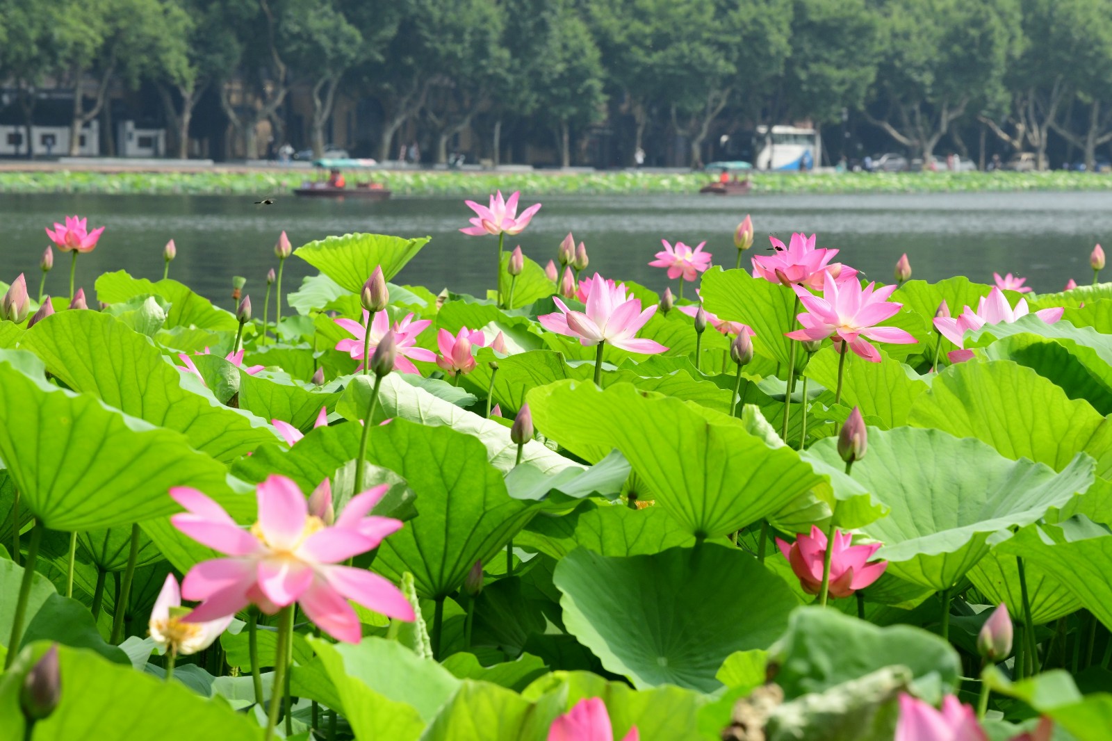 West-Lake-Hangzhou