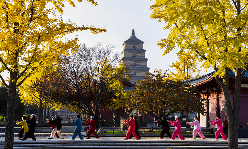 Xian-Big-Wild-Goose-Pagoda-tour