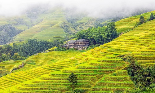 Longji-Rice-Terrace-Scenic-Area-Guilin