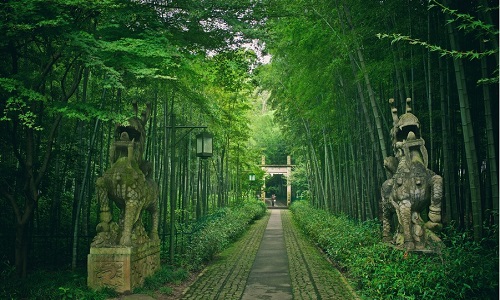 Yunqi-Bamboo-Forest