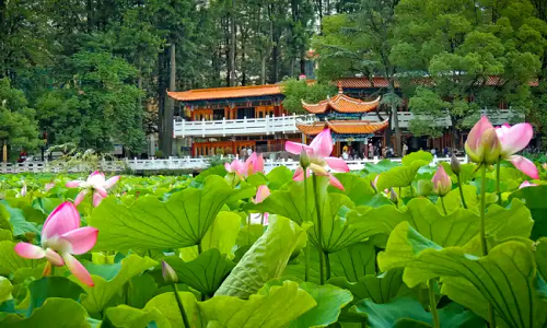 Green-Lake-Park-Kunming