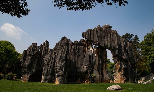 Stone-Forest