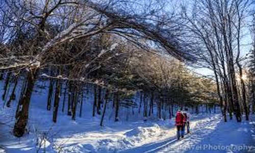 Yangcao-Mountain-Hiking