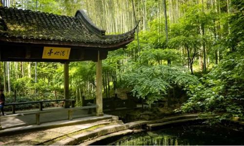 Bamboo-Lined-Path-At-Yunqi