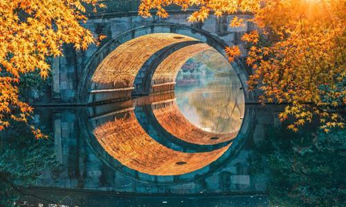 Viewing-Fish-At-The-Flower-Pond-Hangzhou