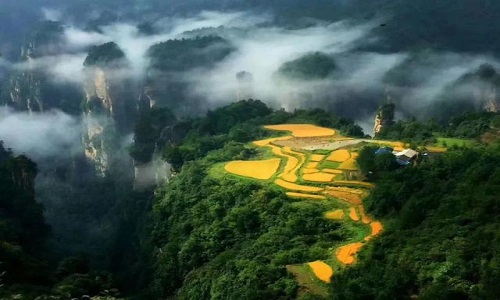 Sky-Farmland-Zhangjiajie