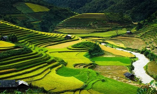 Gaoyao-Rice-Terraces-Guizhou