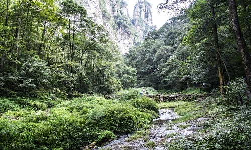 Golden-Whip-Stream-Zhangjiajie