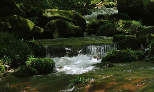 Golden-Whip-Stream-Zhangjiajie