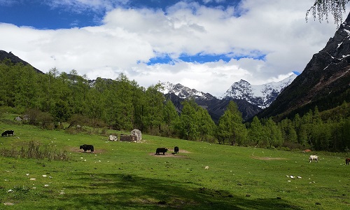 Changping-Valley-Siguniang-Mountain