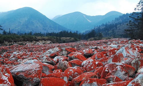 Hailuogou-National-Forest-Park