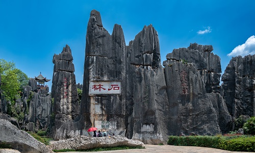 Stone-Forest