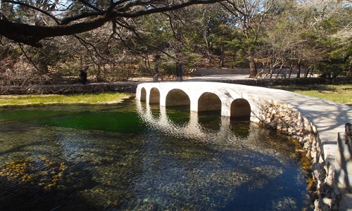 White-Dragon-Pool