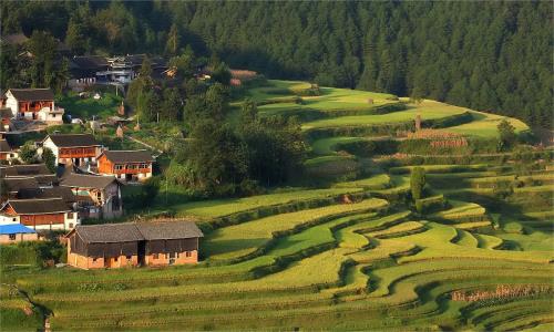 Gaoyao-Rice-Terraces