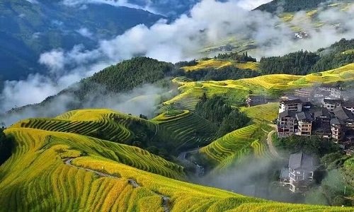 Longji-Rice-Terraces-Longsheng